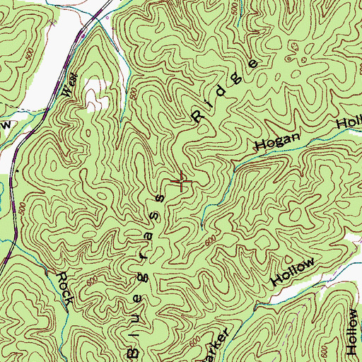 Topographic Map of Bluegrass Ridge, TN