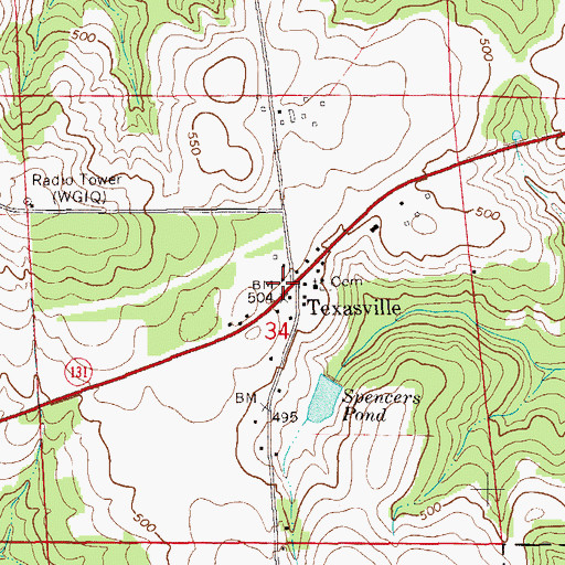 Topographic Map of Texasville, AL
