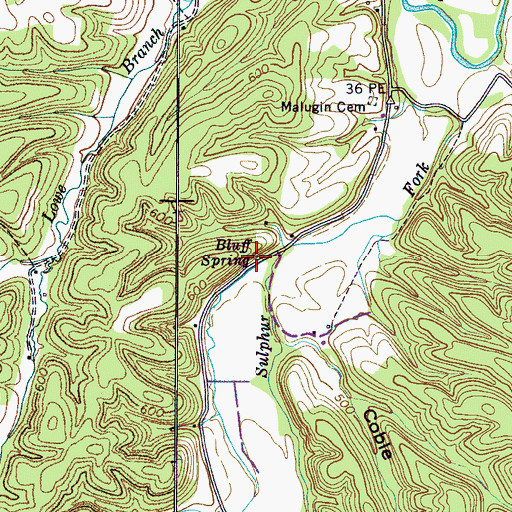 Topographic Map of Bluff Spring, TN