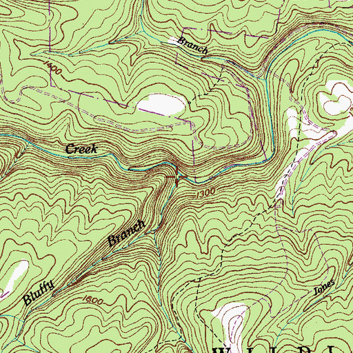 Topographic Map of Bluffy Branch, TN