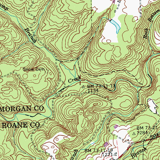 Topographic Map of Board Camp Branch, TN