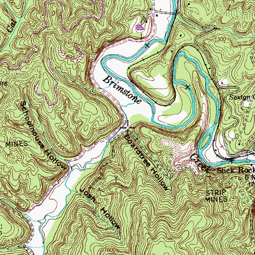 Topographic Map of Boardtree Hollow, TN