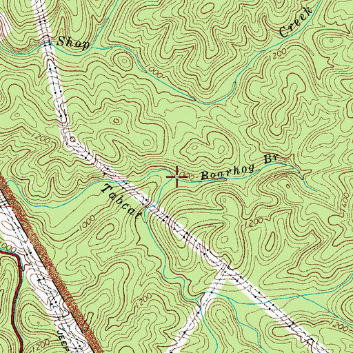 Topographic Map of Boarhog Branch, TN