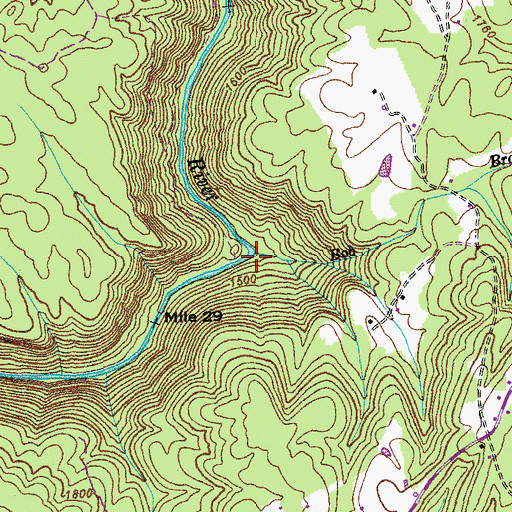 Topographic Map of Bob Branch, TN