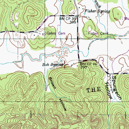 Topographic Map of Bob Spring, TN