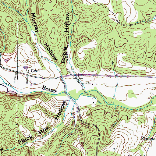 Topographic Map of Bogle Hollow, TN
