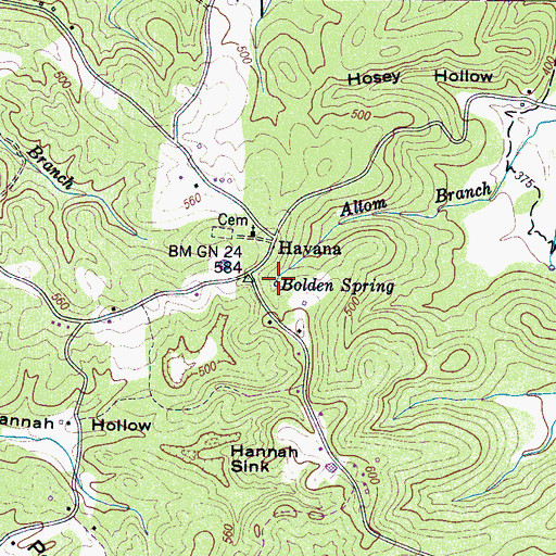 Topographic Map of Bolden Spring, TN