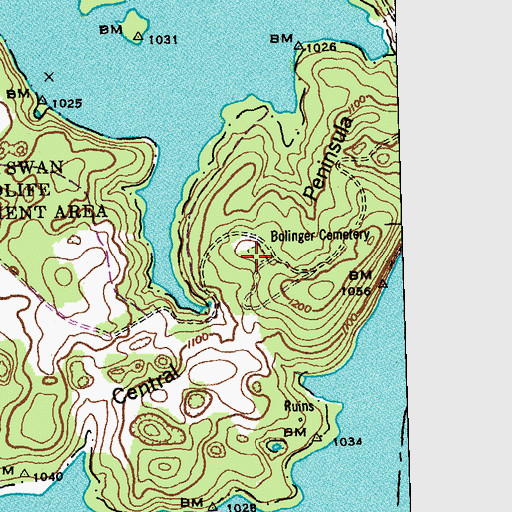 Topographic Map of Bolinger Cemetery, TN