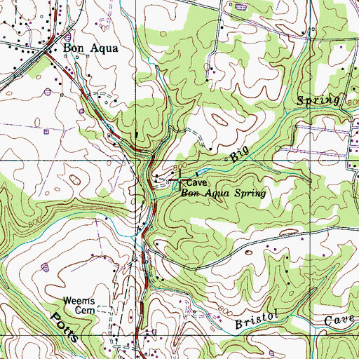 Topographic Map of Bon Aqua Springs, TN