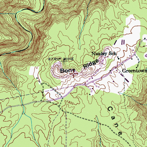 Topographic Map of Bone Ridge, TN