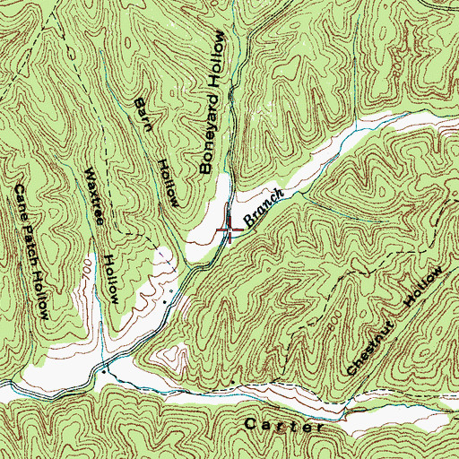 Topographic Map of Boneyard Hollow, TN
