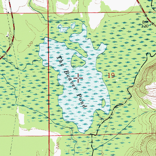 Topographic Map of The Beaver Pond, AL