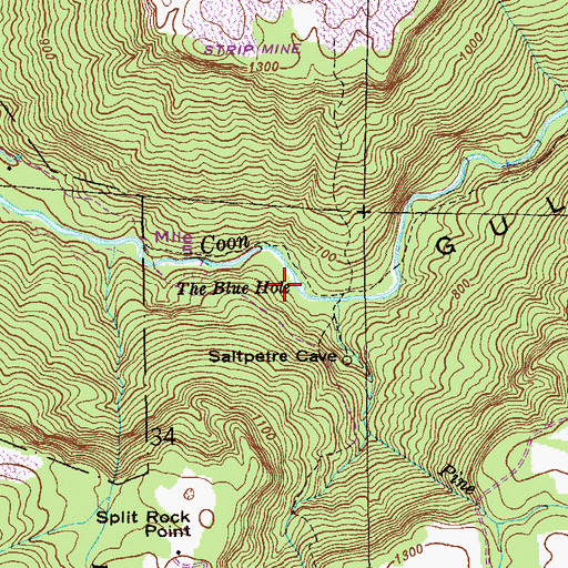 Topographic Map of The Blue Hole, AL