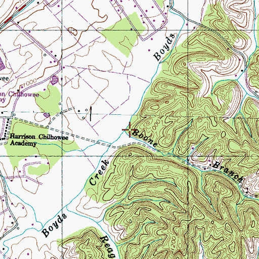 Topographic Map of Boone Branch, TN