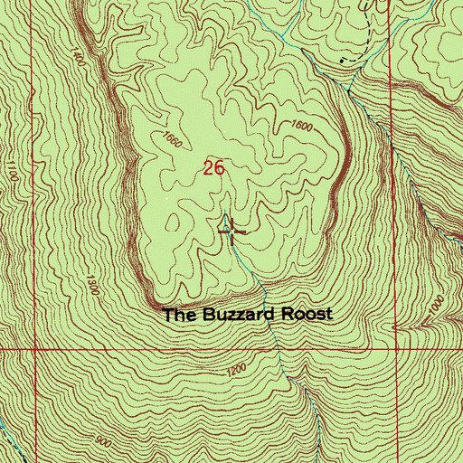 Topographic Map of The Buzzard Roost, AL