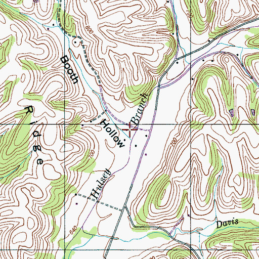 Topographic Map of Booth Hollow, TN