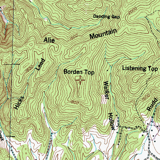 Topographic Map of Borden Top, TN