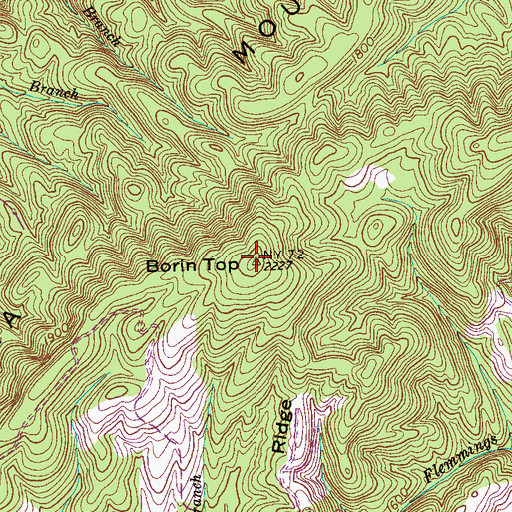 Topographic Map of Borin Top, TN