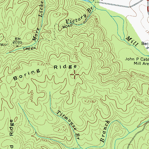 Topographic Map of Boring Ridge, TN
