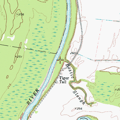 Topographic Map of Bostic Slough, TN