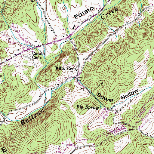 Topographic Map of Bower Hollow, TN