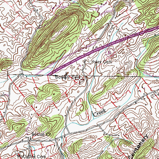 Topographic Map of Bowery Cemetery, TN