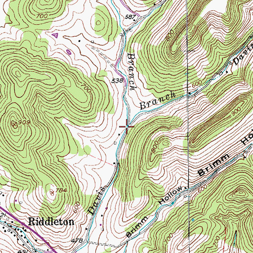 Topographic Map of Bowman Branch, TN