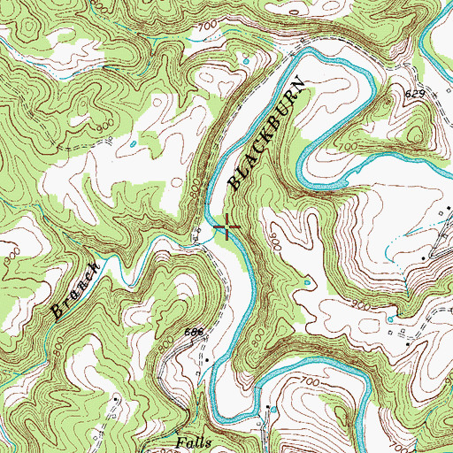 Topographic Map of Bowman Branch, TN