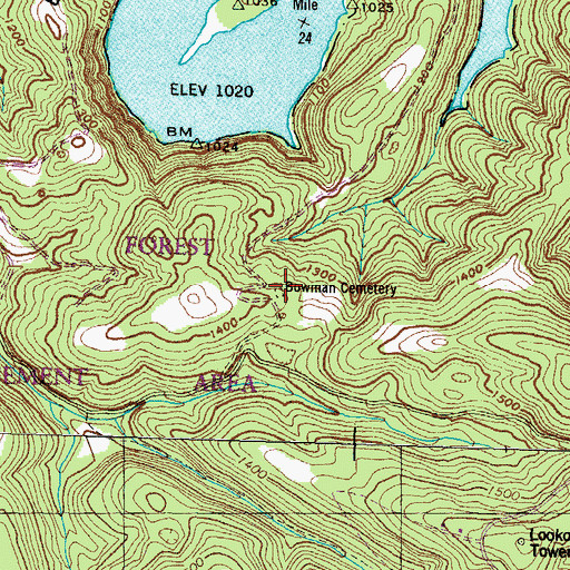 Topographic Map of Bowman Cemetery, TN