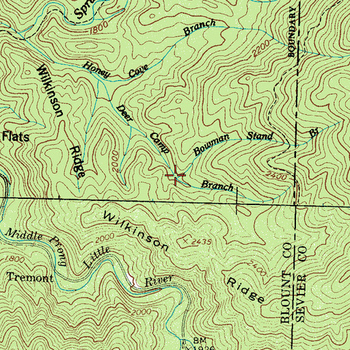 Topographic Map of Bowman Stand Branch, TN