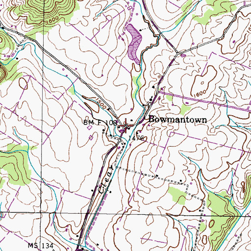 Topographic Map of Bowmantown, TN