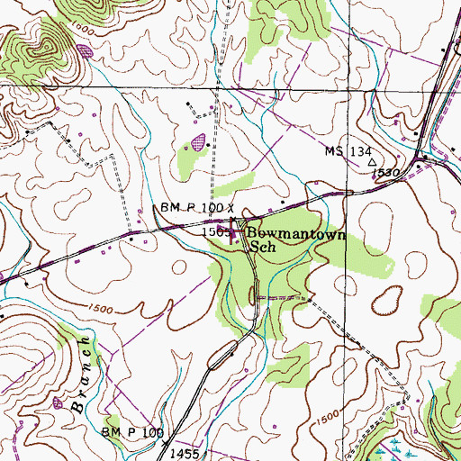 Topographic Map of Bowmantown School, TN