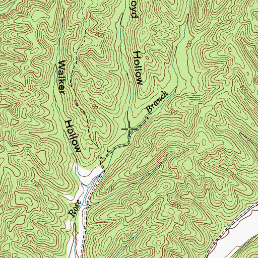 Topographic Map of Boyd Hollow, TN