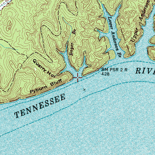 Topographic Map of Boyer Branch, TN