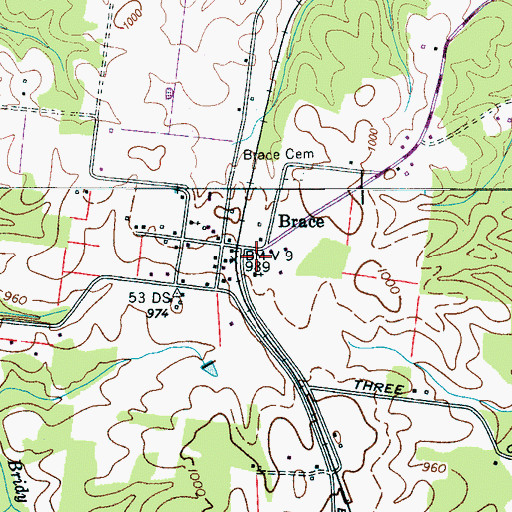 Topographic Map of Brace, TN