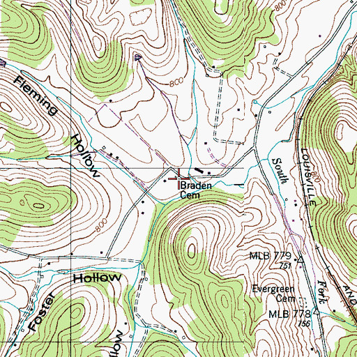 Topographic Map of Braden Cemetery, TN