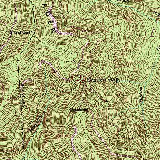 Topographic Map of Braden Gap, TN