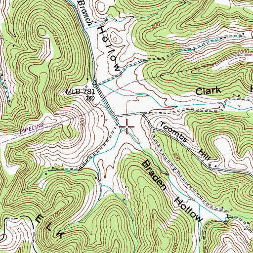 Topographic Map of Braden Hollow, TN
