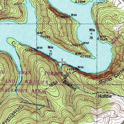 Topographic Map of Braden Hollow, TN