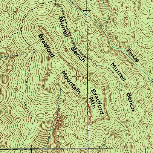 Topographic Map of Bradford Mountain, TN