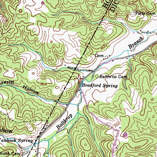 Topographic Map of Bradford Spring, TN