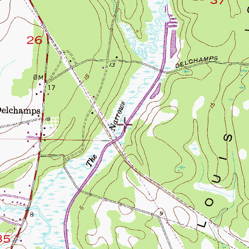 Topographic Map of The Narrows, AL