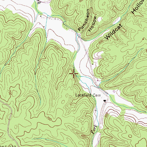 Topographic Map of Brady Branch, TN