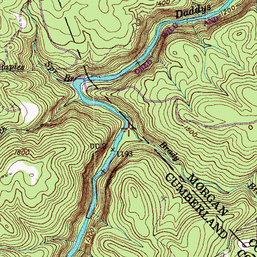Topographic Map of Brady Branch, TN