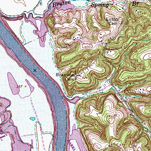 Topographic Map of Brandon Cemetery, TN