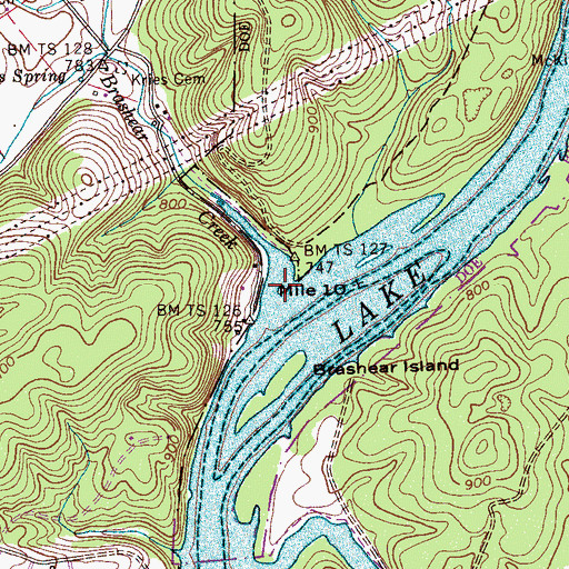 Topographic Map of Brashear Creek, TN