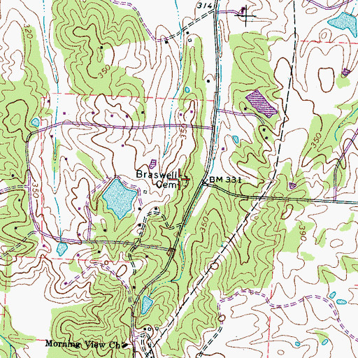Topographic Map of Braswell Cemetery, TN