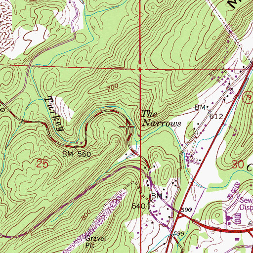 Topographic Map of The Narrows, AL