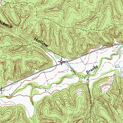 Topographic Map of Breece Hollow, TN