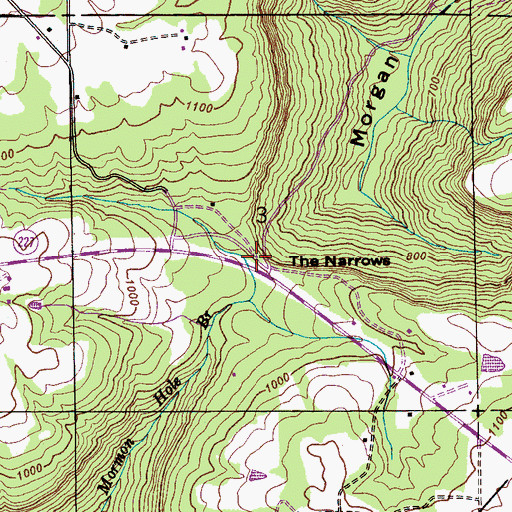 Topographic Map of The Narrows, AL
